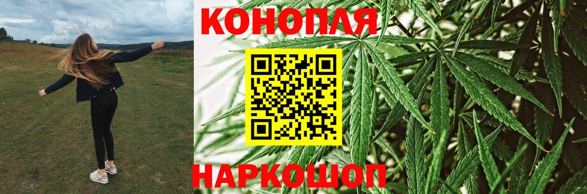 Бошки Шишки ГИДРОПОН  Бошки Шишки Amnesia  Вход с VPN  Бошки Шишки гибрид  Норильск  Конопля MAZAR 
